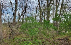 Vl N Shore Drive, Delton, MI 49046