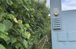 Chln Okra Luchan T299 B5 L3-R3, Dededo, GU 96929