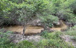 TBD NW CR 274, Altha, FL 32421