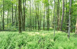 Stanley Campbell Road, Delhi, NY 13753