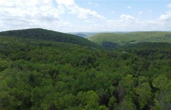 Snake Creek Road, Hancock, NY 13783