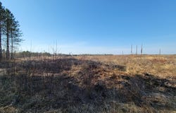 Near KNOWLES RD, Loretta, WI 54896