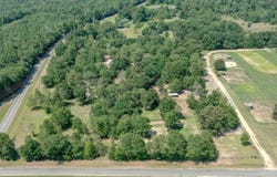 301 Ernest Johnson Road, Wagener, SC 29164