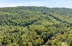 1297 Dry Creek Road, Blackwater, VA 24221