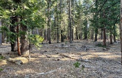 Sierra Parkway, Camp Connell, CA 95223