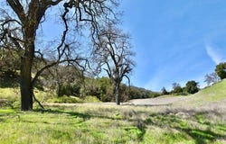 74921 Copperhead Road, Bradley, CA 93426