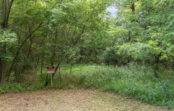 PINE Street, PINE RIVER, WI 54965
