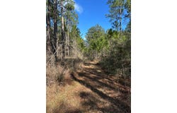Emile Davis Road, Poplarville, MS 39470