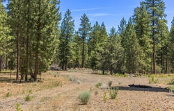 0 Blue Wing Street, Keno, OR 97627