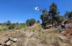 208 E RIDGE Lane, Payson, AZ 85541