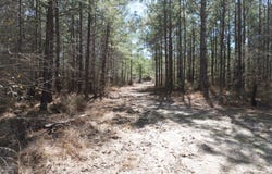 000 Hwy 167 N, Fordyce, AR 71742