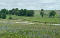 Tbd Hackberry Road, Salado, TX 76571
