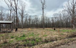 35 Woodruff 371, McCrory, AR 72101
