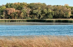 Tract B 575th, Greenleaf Twp, MN 55355