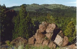 Lookout Trail, Ramsay, MT 59701