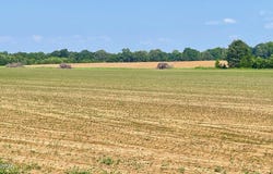 0 Hwy 100 & Vildo Road, Bolivar, TN 38008