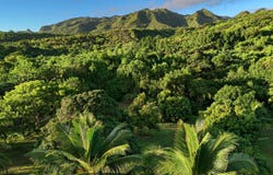 6565-C KOOLAU RD, Anahola, HI 96746
