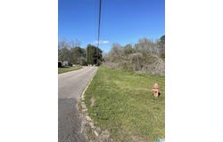 FRANKLIN ROAD lot: 1, ROANOKE, AL 36274