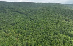 Laurel Dr, Rocky Gap, VA 24366
