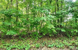 0 Rosie Gayle Drive NE, Palmyra, IN 47164