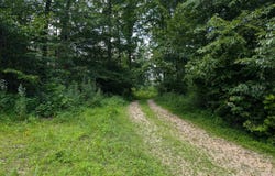 Lot 14 Hideaway Bay, Fountain Run, KY 42133
