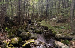 Map 10 Lot 1 Dow Brook Road, Peru, ME 04290