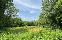 Bauguess Mill Road, Traphill, NC 28685