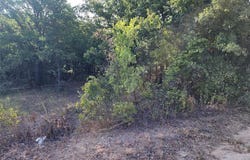 Tbd County Road 125 Road, Ranger, TX 76470