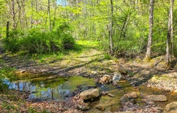 2465 Chestnut Flats Rd, Lewisburg, WV 24901