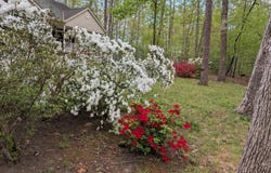 317 EDGEHILL DRIVE, LOCUST GROVE, VA 22508