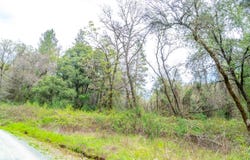 3291 Stage Trail Road, Greenwood, CA 95635