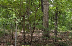 Kimberly Drive, Ozark Acres, AR 72482