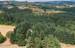 19601 NE TRUNK RD, Dundee, OR 97115