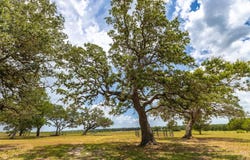 2160 (Tract #5) Baca Loop, Flatonia, TX 78941