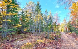 14859 N Whitefish Point RD, Paradise, MI 49768