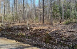 Arnold Hill Rd, Sylva, NC 28779