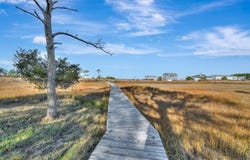3049 RIDGE RD, CHINCOTEAGUE, VA 23336