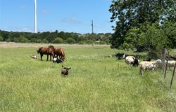 495 FM 2005, Goldthwaite, TX 76844