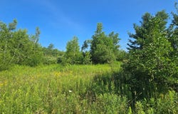 00 County Route 15, LaFargeville, NY 13656