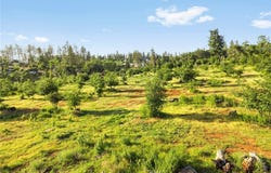 5078 Wilderness Way, Paradise, CA 95969