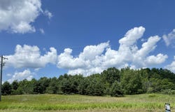 4 Acres E 48th Street, Chase, MI 49623