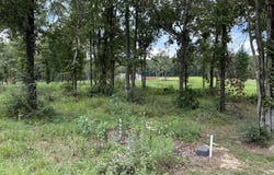 Lynnlee Ln lot: 38, MYRTLE, MS 38650
