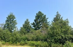 On SAINDON RD, Tomahawk, WI 54487