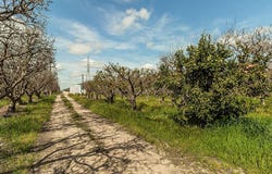 0 0000, Madera, CA 93636