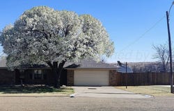 107 Pinehurst Street, Borger, TX 79007
