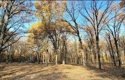 1356 County Road 1470, Bogata, TX 75417