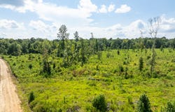 13.5 MOL AC I-45, Shubuta, MS 39360