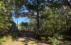 Par 4 Clements Road, Kaleva, MI 49645