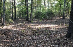 Daffron Road, Duncanville, AL 35456