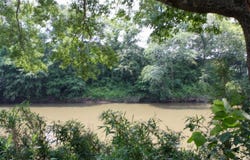 Hwy 298, Sims, AR 71969